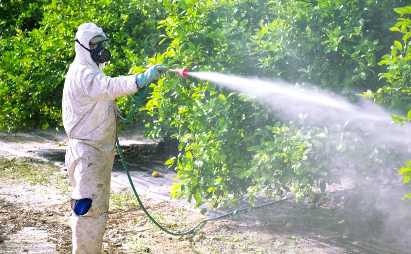 Fumigation Service in San Antonio, TX