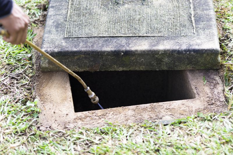 Pest Fumigation Service in Coeur D Alene, ID