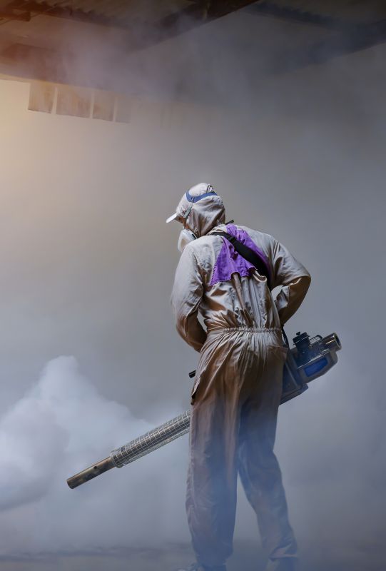Roach Fumigation in Bellingham, WA