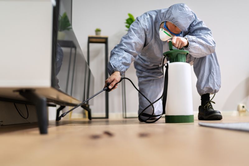 Fumigation Service in Davis County, UT