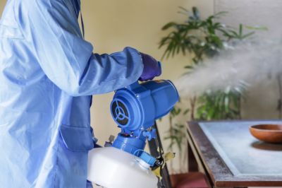 Fumigation Service in Winston Salem, NC