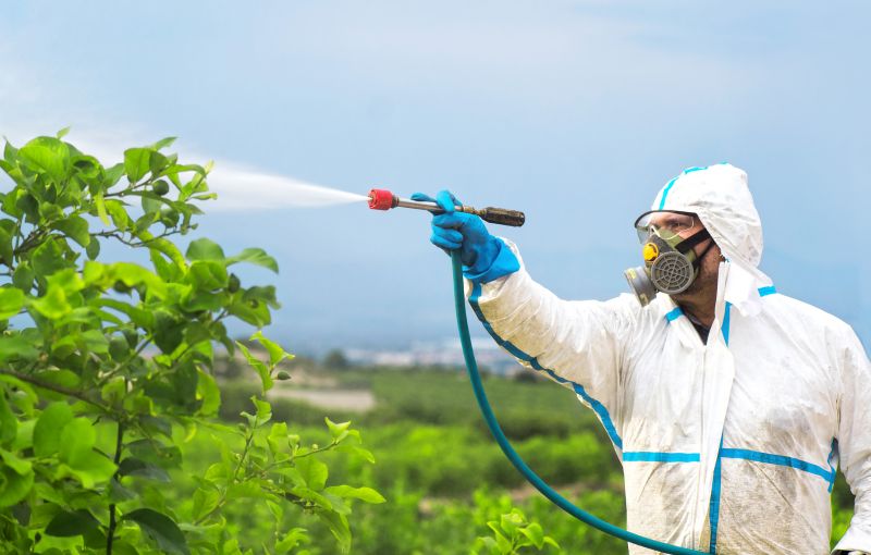 Spider Fumigation Service in Marietta, GA