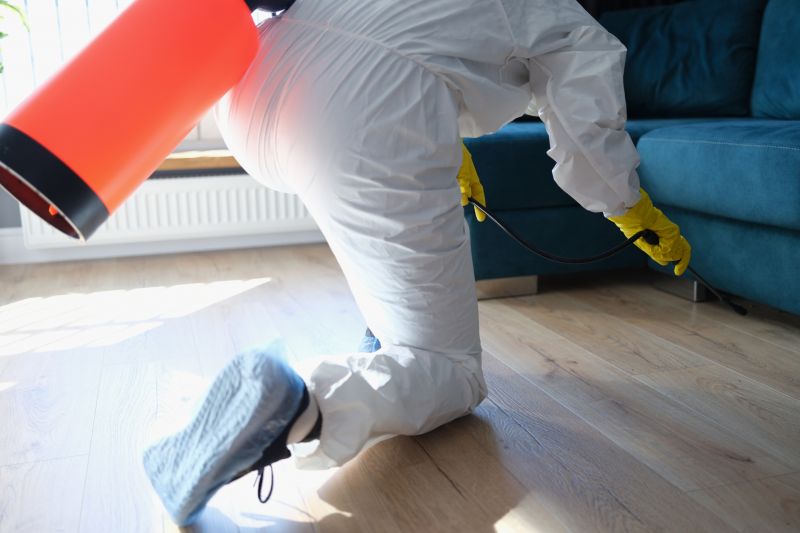 Spider Fumigation Service in Fredericksburg, VA