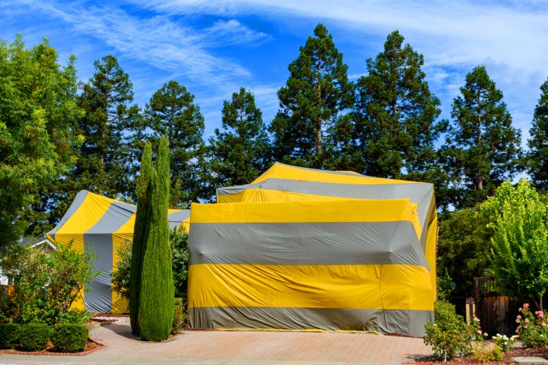 Tent Fumigation in Fort Collins, CO